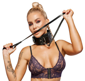 Leather Collar & Leash