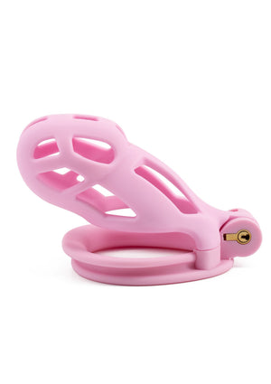 Cage de chasteté Penis Prison régulière