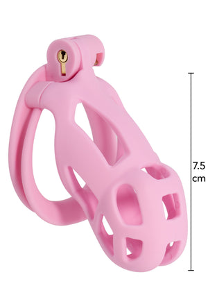 Cage de chasteté Penis Prison régulière