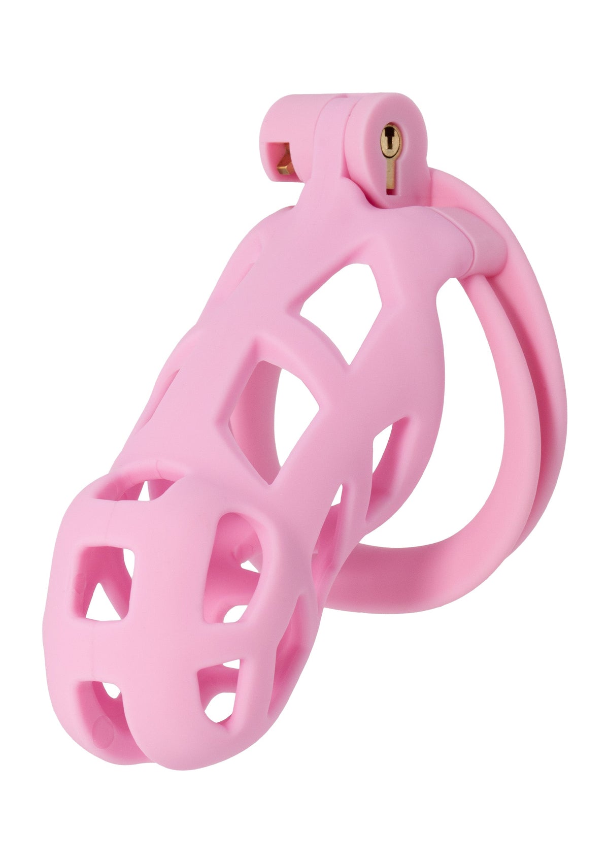 Cage de chasteté Penis Prison longue