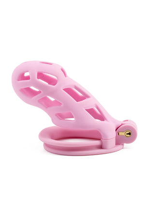 Cage de chasteté Penis Prison longue