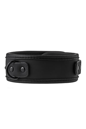 BLAZE COLLAR AND LEASH BLACK