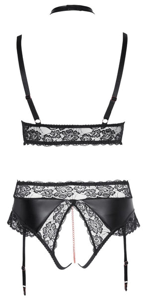 Bra and Suspender Briefs 4XL