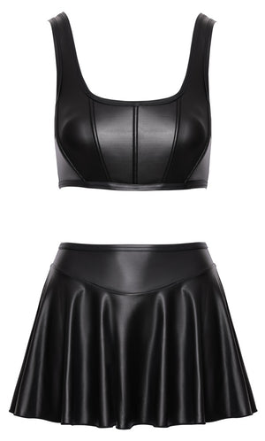 Top and Skirt XL