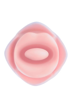 BLUSH COLLECTION KISSING ROSE PINK