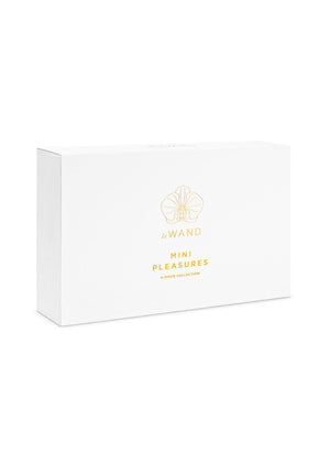 Coffret Le Wand Mini Pleasures