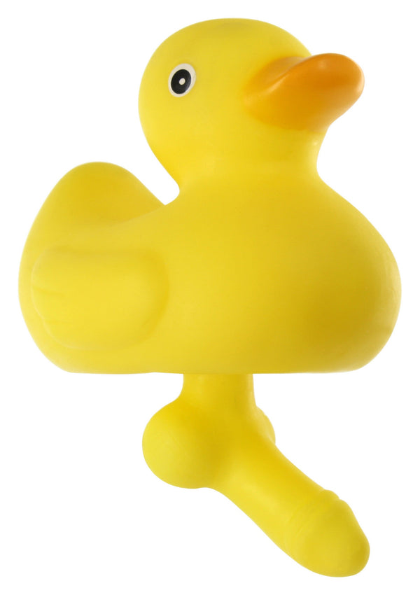 Canard avec un pénis
