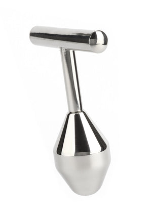 Plug anal Pleasure Probe