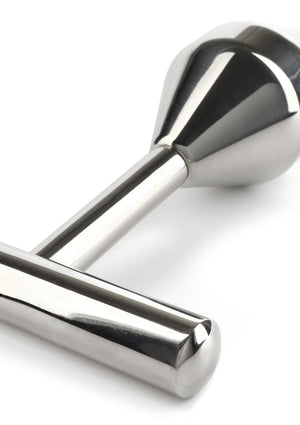 Plug anal Pleasure Probe