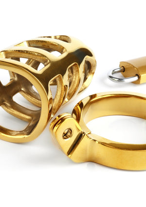 Cage de chasteté Brutal Gold