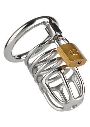 Cage de chasteté Master