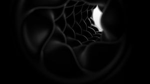 Arcwave Pow Black