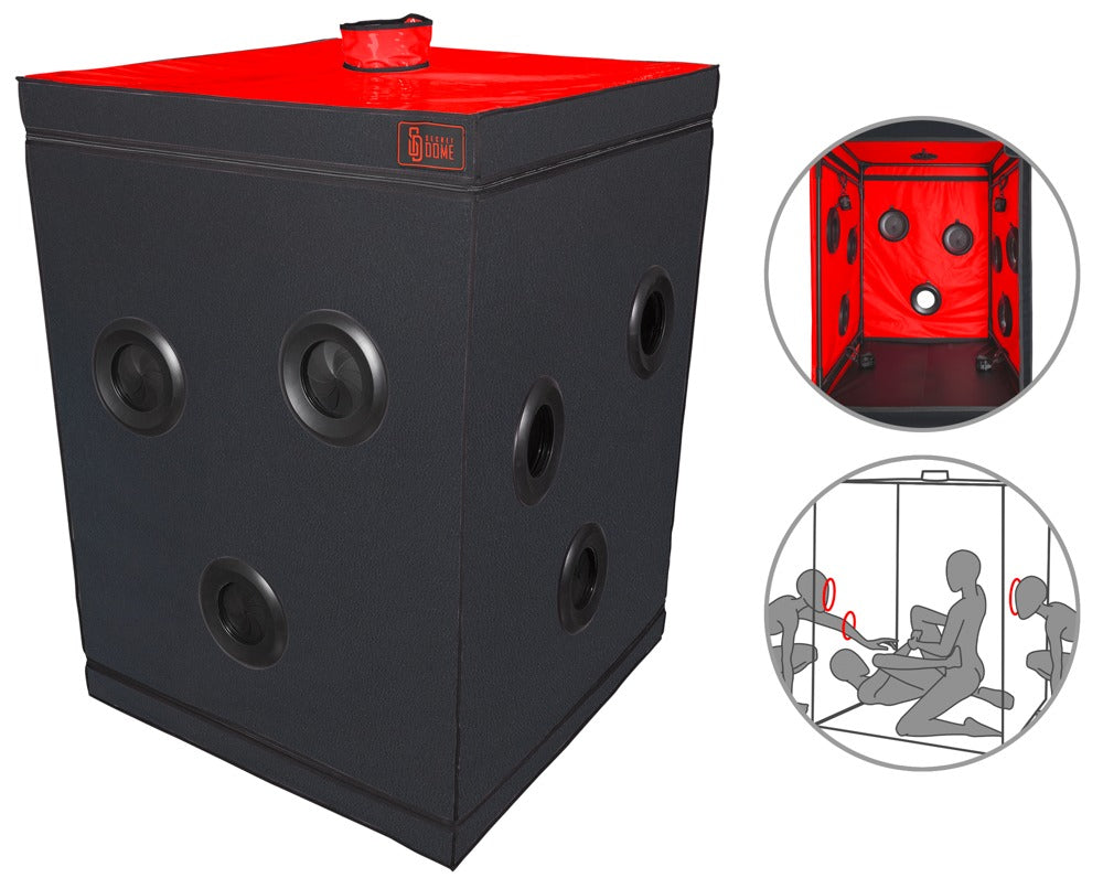 Scandale - Black & Red