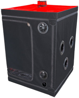 Scandale - Black & Red