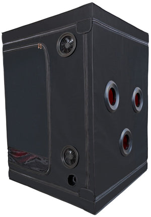 Scandale - Black & Red