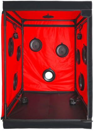 Scandale - Black & Red