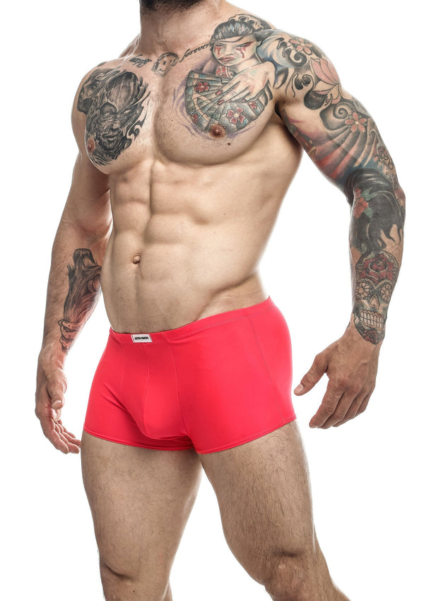 Boxer classique