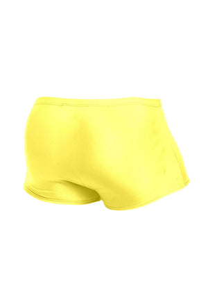 Boxer classique