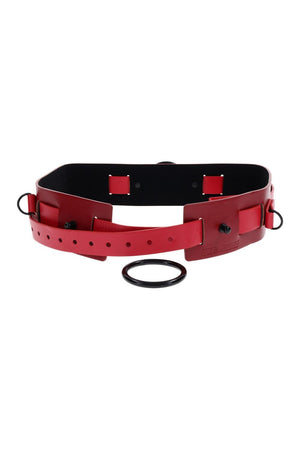 SPORTSHEETS EX'S AND OH'S BOUND AND BELTED