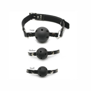 FFS Ball Gag Training System