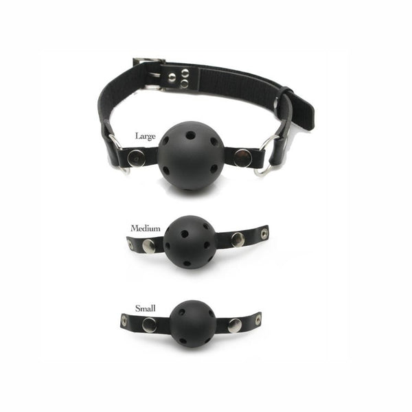 FFS Ball Gag Training System