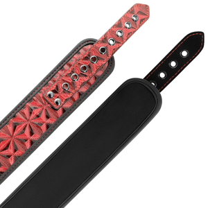 Begme – Collier édition rouge avec pinces télémon avec doublure en néoprène