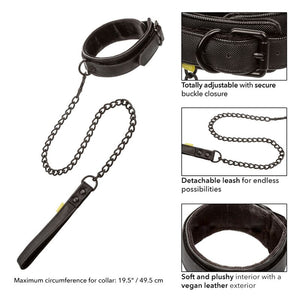 CalExotics – Collier et laisse sans limites