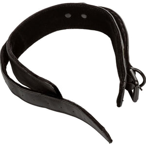 CalExotics – Collier et laisse sans limites