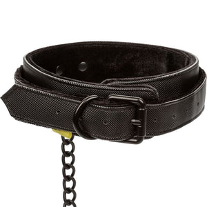 CalExotics – Collier et laisse sans limites