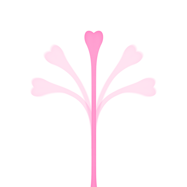 Ohmama – Ensemble de 5 balles dexercice kegel