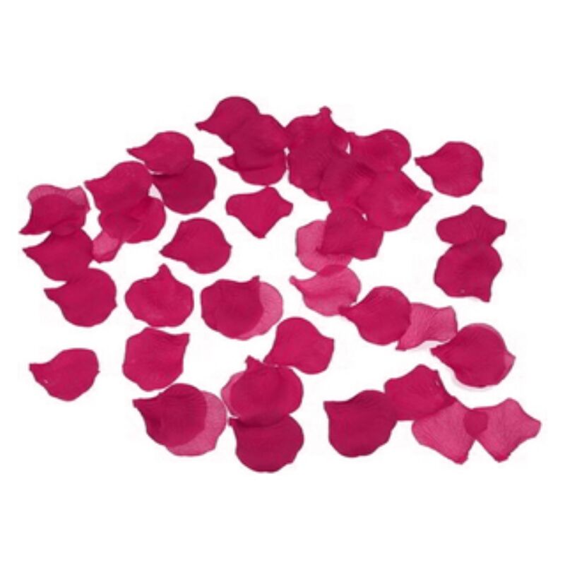 Diablo Picante – 100 pétales de fuchsia