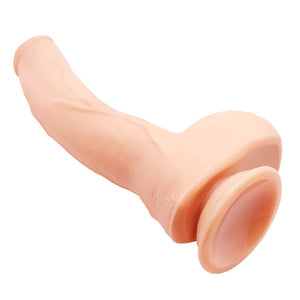 Baile – Joli amour beau jack 26 cm