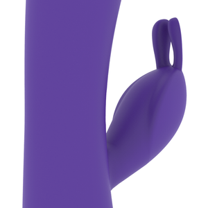 Mr Boss – Aitor rabbit compatible avec la technologie sans fil watchme