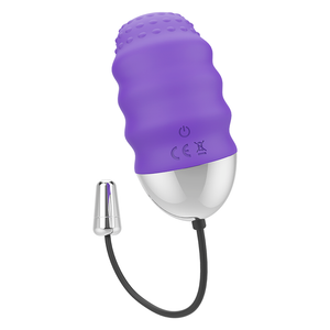 Mr Boss – Télécommande denis egg