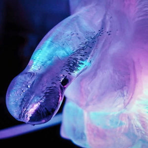 Play Wiv Me – Huge penis ice luge moule