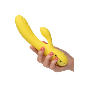 Vibromasseur lapin San Diego Seduction