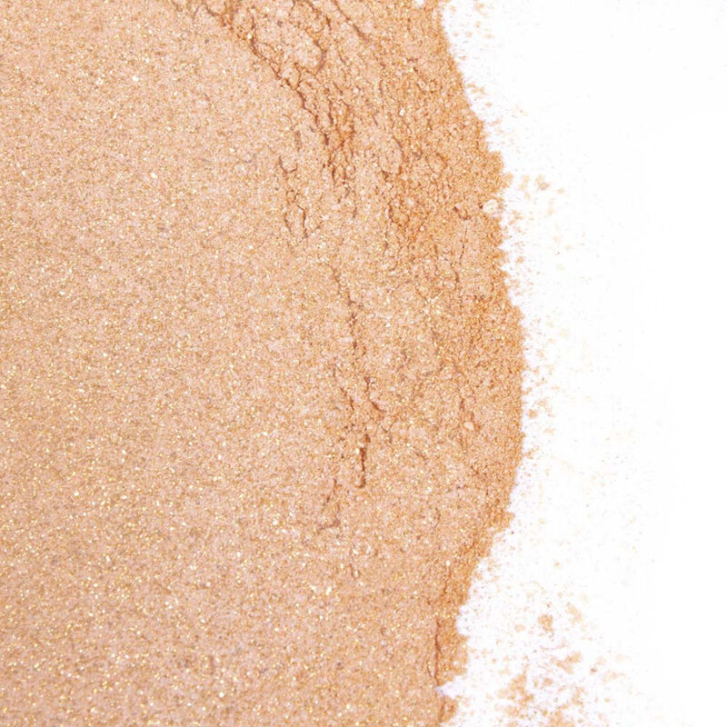 SECRETPLAY - GOUDEN LICHT KIT POLVOS EDIBLES Y PLUMA CHOCOLADE AFRODISIACO