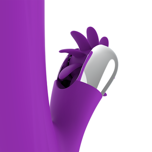 Fun Function – Rotation drôle de lapin 2.0
