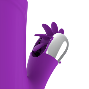 Fun Function – Lapin drôle haut et bas 2.0