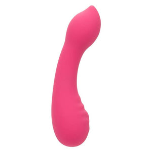 CalExotics – Pixies teaser rose