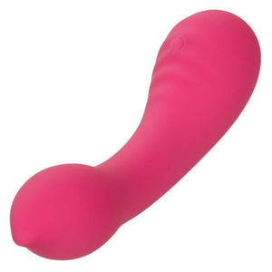 CalExotics – Pixies teaser rose