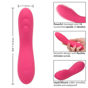 CalExotics – Pixies ripple rose