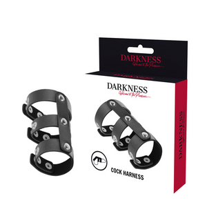 Darkness – Double anneau de pénis et testicules en cuir réglable