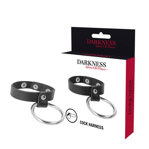 Darkness – Anneau métallique pour le pénis et les testicules