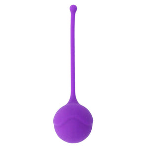 Intense – Kisha fit one silicone kegel lilas