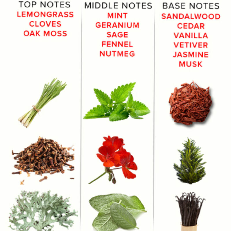 OOG VAN LIEFDE - EOL PARFUM FEROMONAS 10 ML - ROMANTISCH