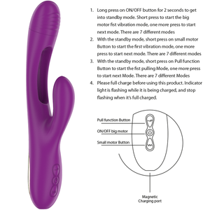 Intense – Apolo vibrateur multifonction rechargeable 7 vibrations avec langue oscillante violet