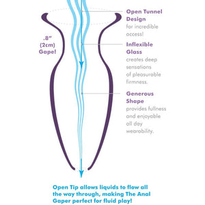 AFE Beginner's Anal Gaper