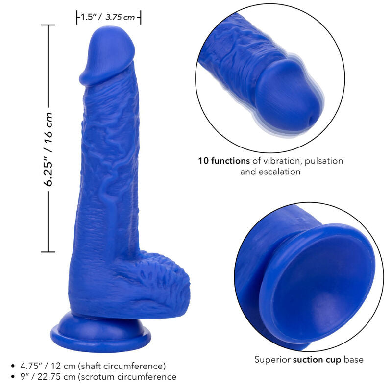 CALEXOTICS - ADMIRAL SAILOR DILDO REALISTISCHE VIBRADOR AZUL