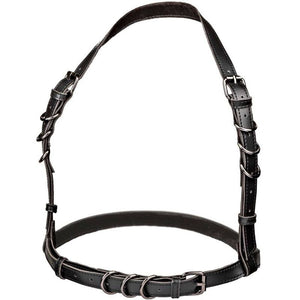Harnais licou à boucle